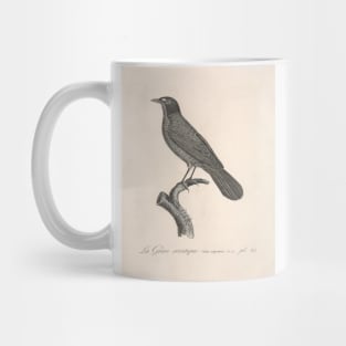 Natural history of vintage birds of North America 5 Mug